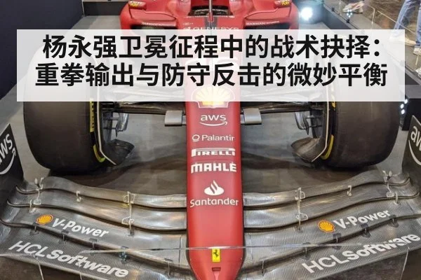 杨永强卫冕征程中的战术抉择:重拳输出与防守反击的微妙平衡